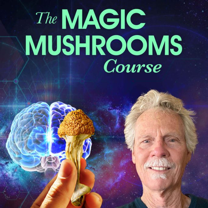The Mushroom Magic Course